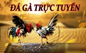 Hướng Dẫn Chơi Đá Gà WS168 Tại FOR88: Bí Quyết Cược Thắng Đỉnh Cao